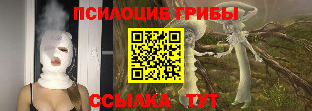 Галлюциногенные грибы MAGIC MUSHROOMS  Вход с VPN  Воркута 